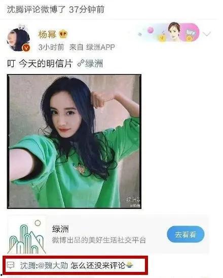 吃瓜娱乐小能手